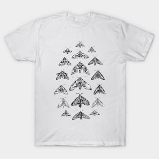 Bamboo Ink Hawkmoths T-Shirt